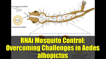 RNAi Mosquito Control: Overcoming Challenges in Aedes albopictus