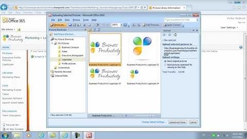 How to create a shared picture library in SharePoint 2010