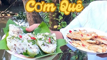 Bầu Hấp Nhồi Đậu Hũ & Khoai Lùn Chiên | cùng nhau đi trồng khoai lùn sau vườn | #cuocsongoque 