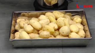 Potato Finger Chips Machine / आलू फिंगर चिप्स मशीन - Leenova