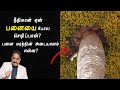      dr suresh ramachandran messagetamil bible facts