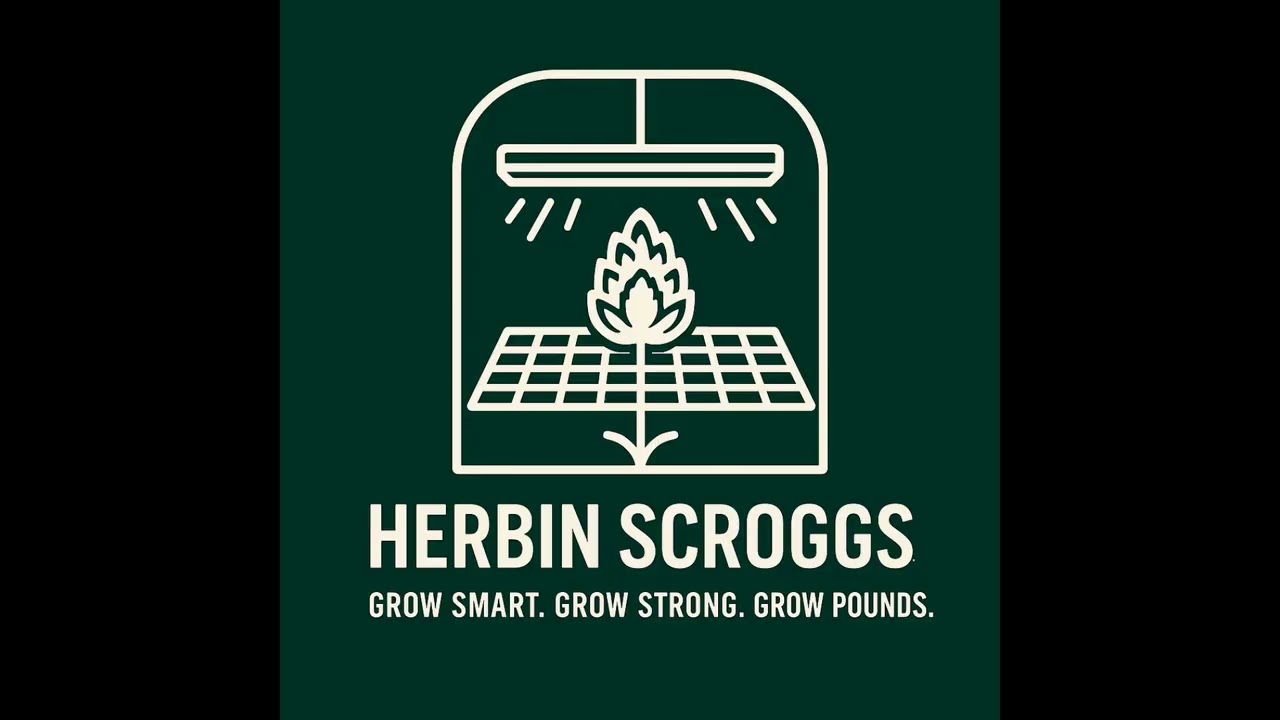 Time lapse of Permanent Marker  The Last 48 days of flower