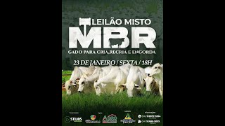 LEILÃO MISTO 23/01/2026 - MBR LEILÕES - RIO PARANAÍBA-MG