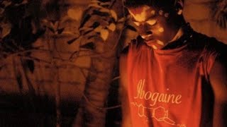 Ibogaine Explained