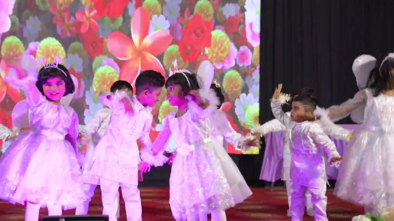 BUTTERFLY DANCE #NOOR E TOTS #daisy