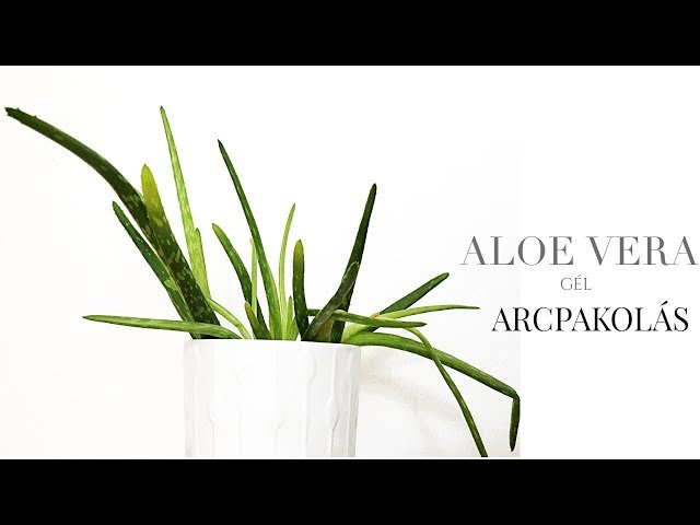 Teszteltem: Aloe Vera gél arcpakolás, 5 napon keresztül - YouTube