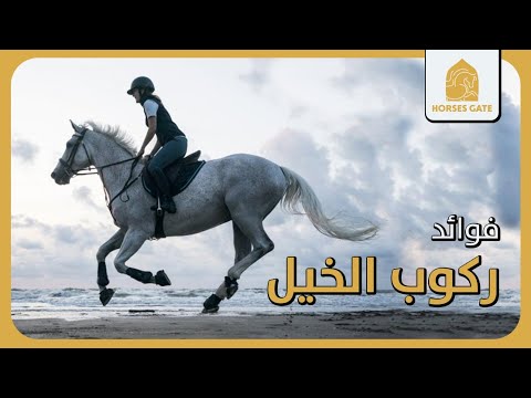 فيديو: الفروسية: ماذا وكيف ومتى؟