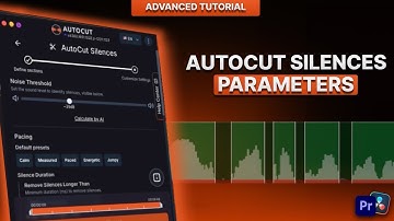 Hoe stel ik de parameters voor AutoCut Silences in? (Premiere Pro & DaVinci)