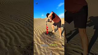 “Boy Finds Natural Gas &amp; Magnetic Sand in Desert | Amazing Discovery”