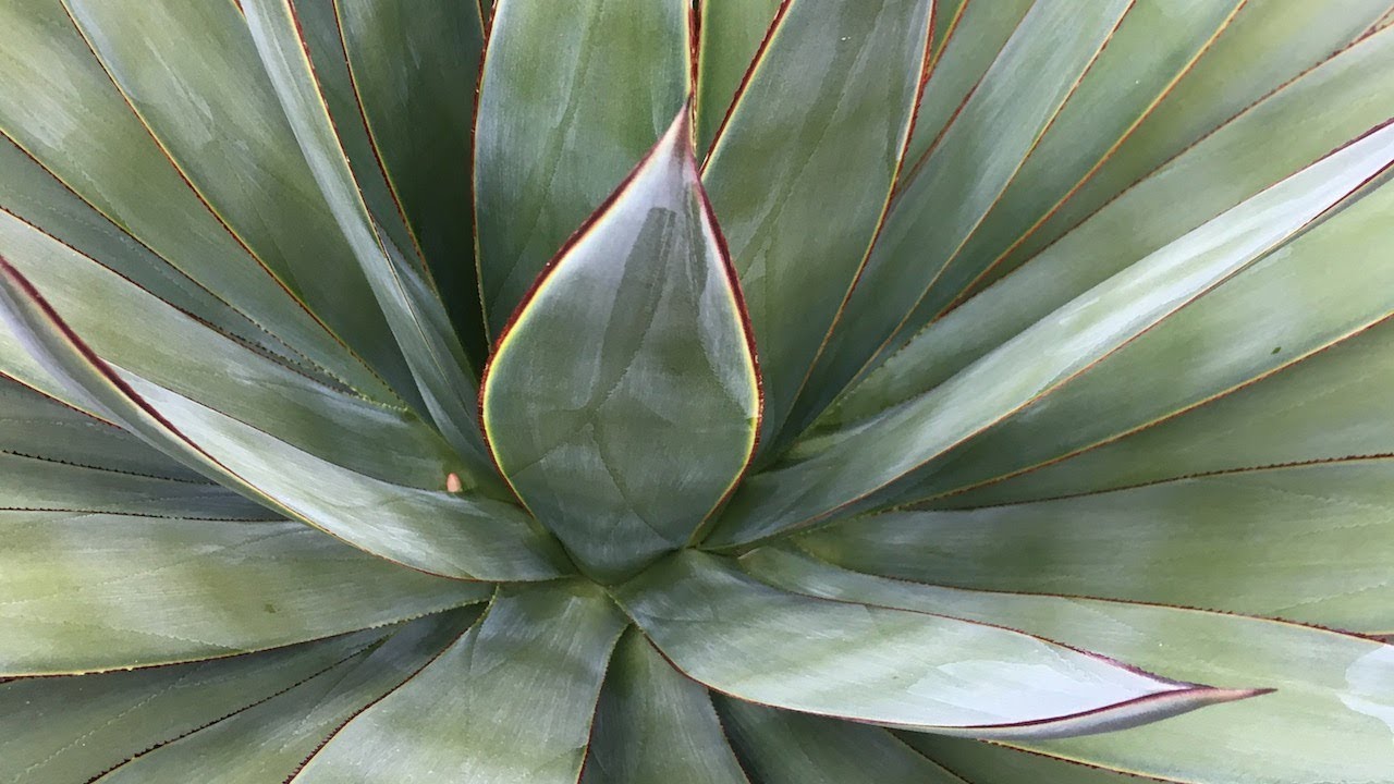 APLD California takes a watershed approach