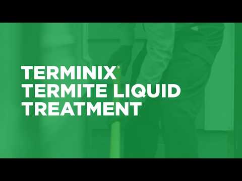 Liquid Termite Treatment: How Does It Work?