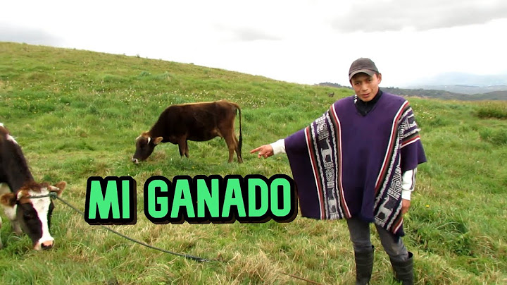 MI GANADO | John Valverde