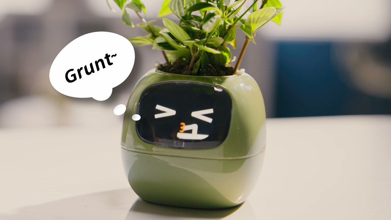 PlantsIO Ivy Intelligent Plant Companion - YouTube