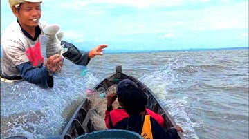 MENJARING IKAN NILA Di DANAU TEMPE HASIL SANGAT MEMUASKAN