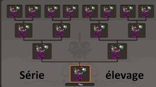 Dofus 2.30 [Elevage n°1] Capturer et élever une DD