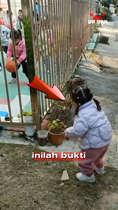 Anak yang Bersemangat #shorts