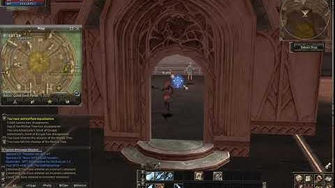 Elven Wizard - Class Quest - Reborn Origins [x1]