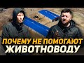 Как в Акмолинской области нет поддержке животноводу! Пустые обещания акимата Сандыктауского района!