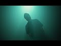 Better Off - No Drama (Official Video)