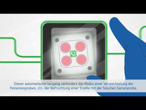 YouTube-Video-Thumbnail