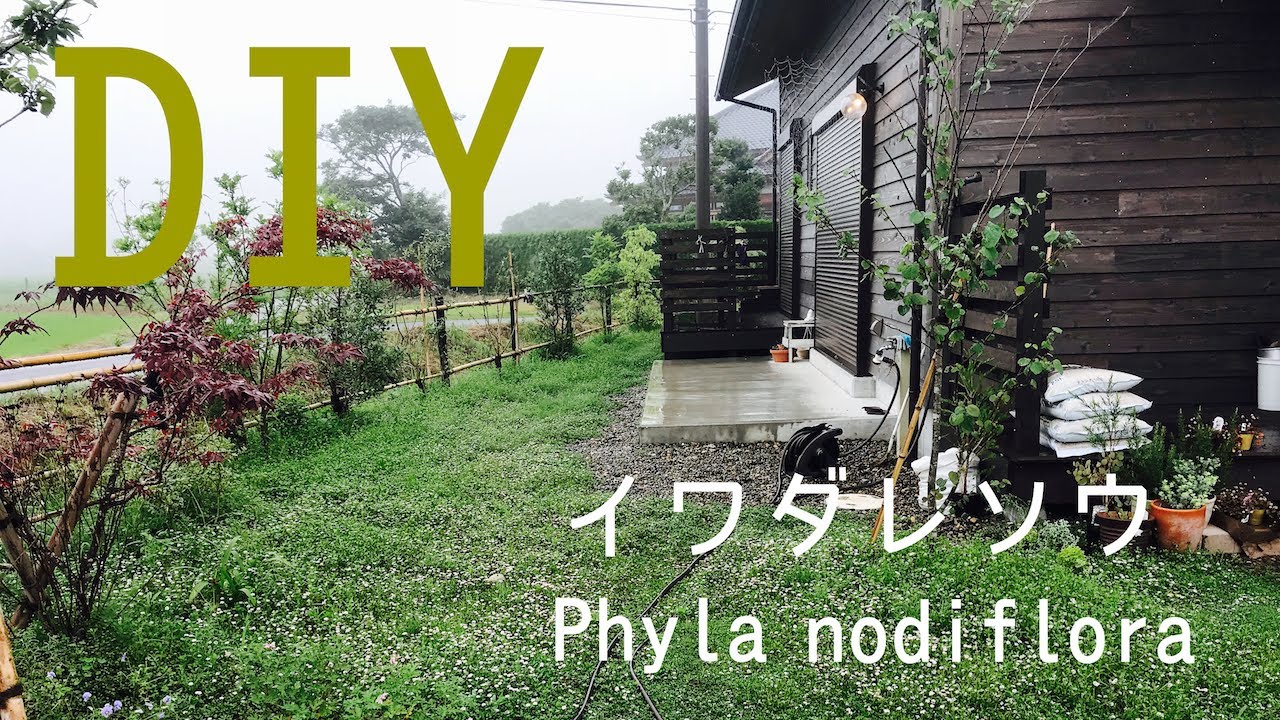 Diy イワダレソウ Phyla Nodiflora の植え方 クラピアとリピアを植えてから緑の絨毯になるまでの成長記録 Youtube