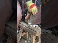 Master trims donkey's hooves with swift, neat motion on April 25, 2026