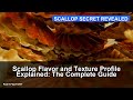 Scallop Flavor and Texture Profile Explained: The Complete Guide