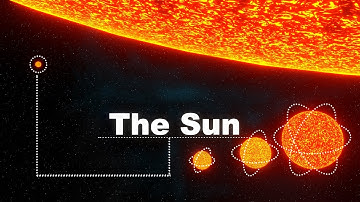 Sun vs Biggest Star Size Comparison 3D | Stars Real Scale Comparison | Universe Size Comparison 2023