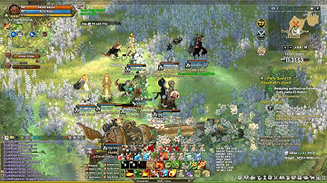 Tree Of Savior Lv17 Guild Raid Bug 20180729 23 31 07 211