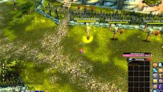 Avenger's shield crit (60 lvl private server)
