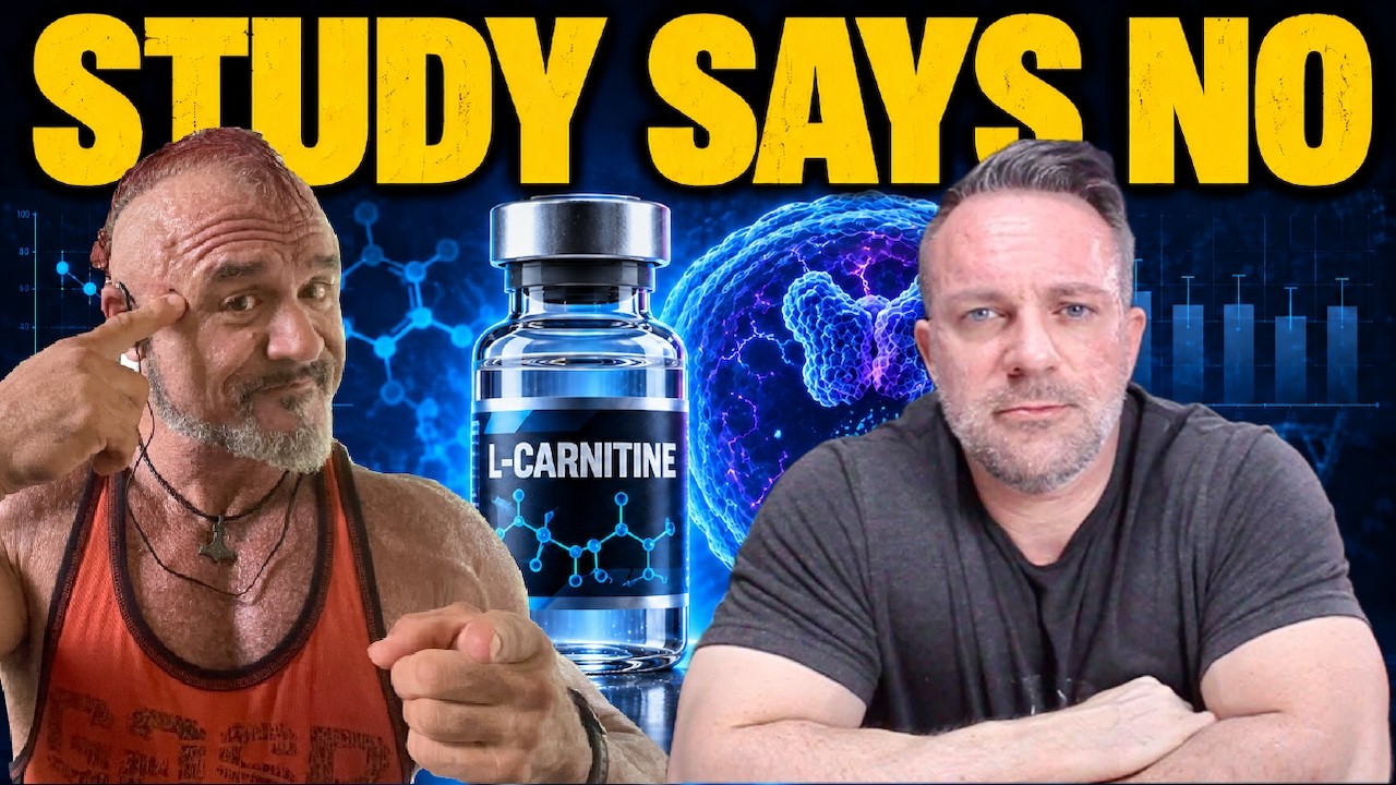 Does L-Carnitine Really Upregulate Androgen Receptors? | Study Breakdown