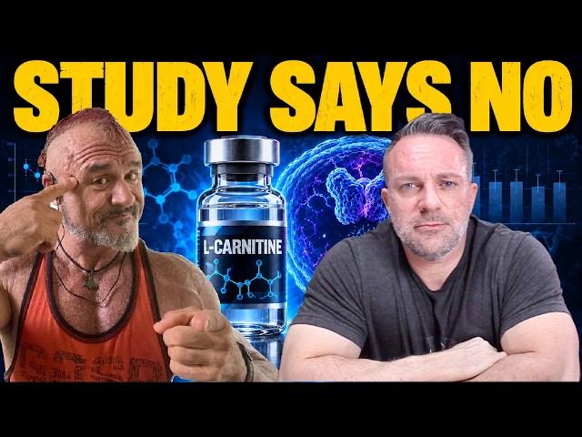 Does L-Carnitine Really Upregulate Androgen Receptors? | Study Breakdown