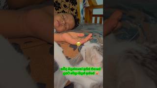 The purest kind of love needs no words❤️😻👶#catandbaby#wholesome #emotionalvideo #cutemoment #fyp