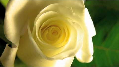 Personal Growth - Barriers to Personal Growth and Professional Development