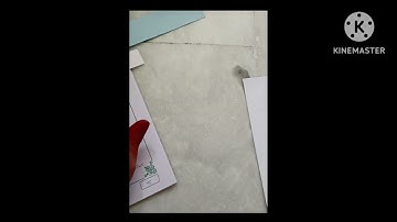 B.ed observation record - maths