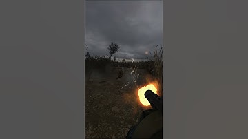 More Dogs Than I Bargained For | S.T.A.L.K.E.R. G.A.M.M.A. #fps #survival