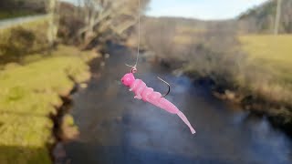 Hunting for MONSTER BROWN TROUT in CLEAR WATER || This LURE Saved the Day! screenshot 4