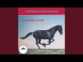 Galloping Home Original Theme From Black Beauty 