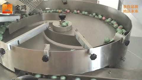 JinHong JH-Z1205 Mini Wrapper, Flow Packing Machine with Three Servo Motor