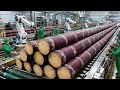 Inside a sugar mill - The process of harvesting sugarcane to produce sugar
