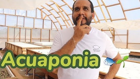 Acuaponia, peces + plantas | ¿Cómo es un sistema acuapónico? 🐟🌱🍅