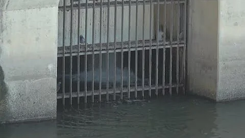 Newsom signs bill package to speed up California infrastructure projects