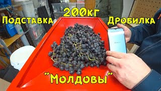 Подставка под дробилку для винограда. Закупились на Фуд Сити и переработали 200кг Молдовы.