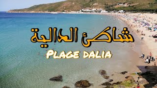شواطئ بلادي :  شاطئ الدالية أقرب نقطة إلى اسبانيا  Ep 8      plage dalia