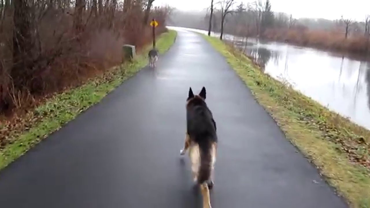 Our Second Running Adventure - Day 4 [Running Life #2] - Day 4, Our Second Run... why must it be raining ?