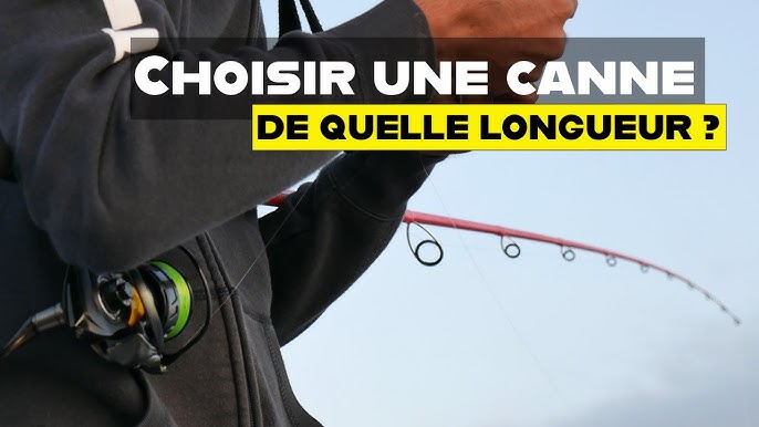 Comment choisir un moulinet casting - Nootica -  - Dingue d'eau,  comme vous !