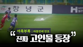 본격, 고인물이 선수 농락하는 영상 ?[ 여축부록 : 아홉번째 참조 ]