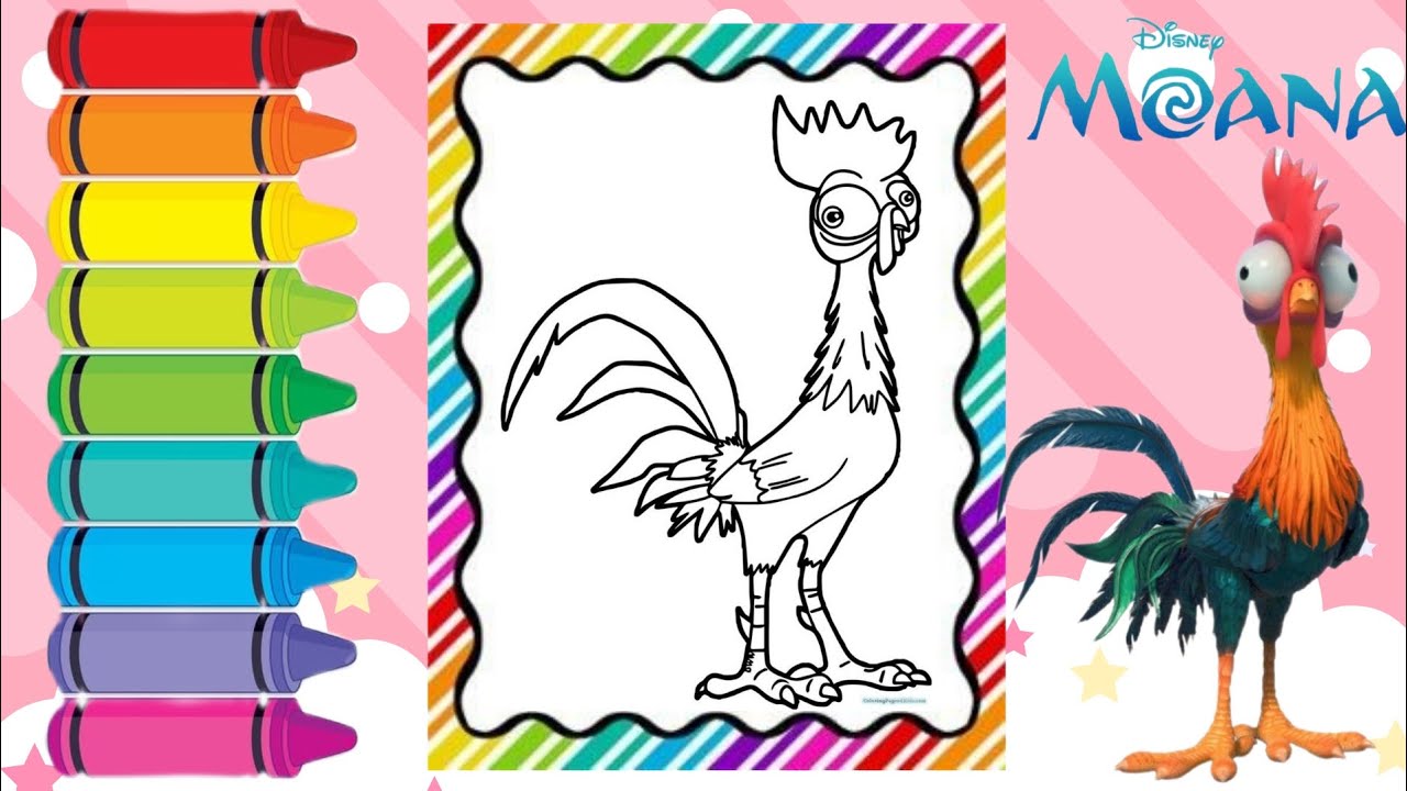 Disney Moana Hei Hei Coloring | Coloring video for kids #coloring #