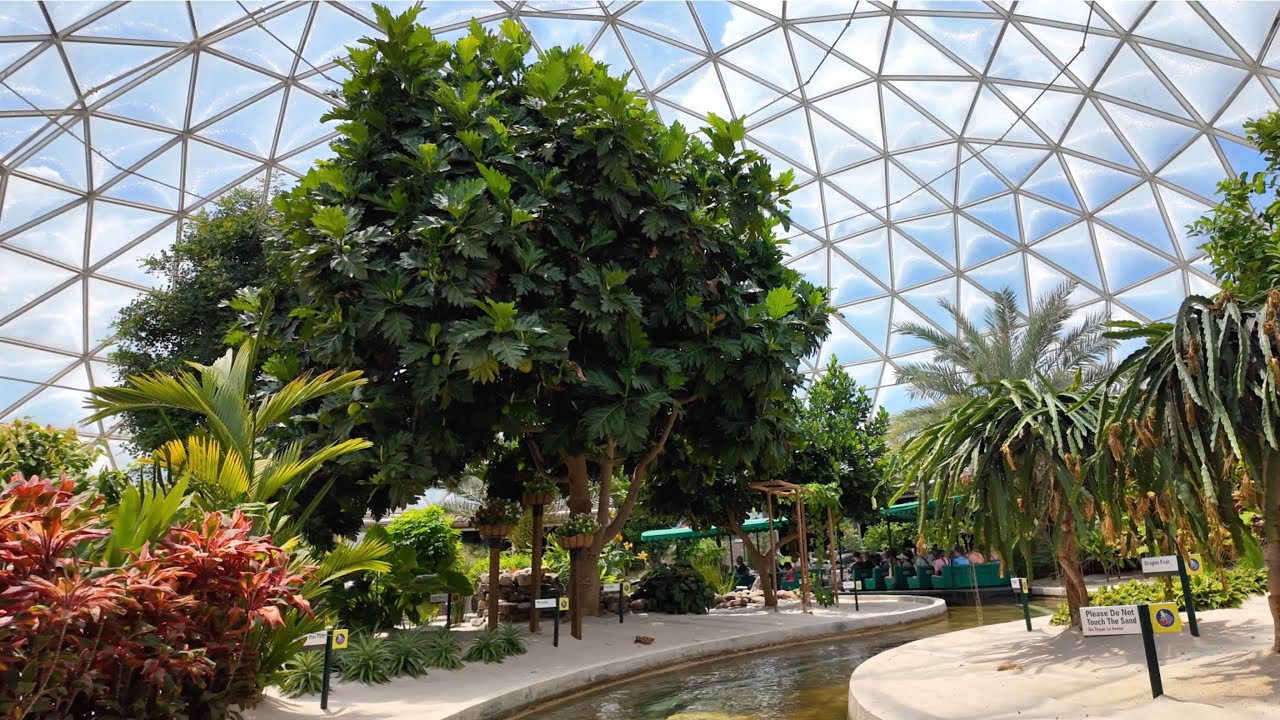 [4K Low Light] Living with the Land – EPCOT 2025 Full Greenhouse Ride ...