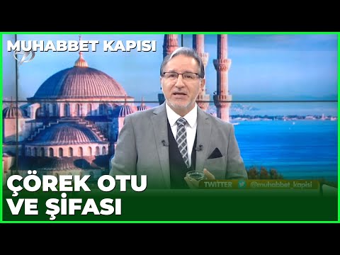 Çörek Otu Hangi Hastalıklara Şifalıdır? - Prof. Dr. Mustafa Karataş ile Muhabbet Kapısı